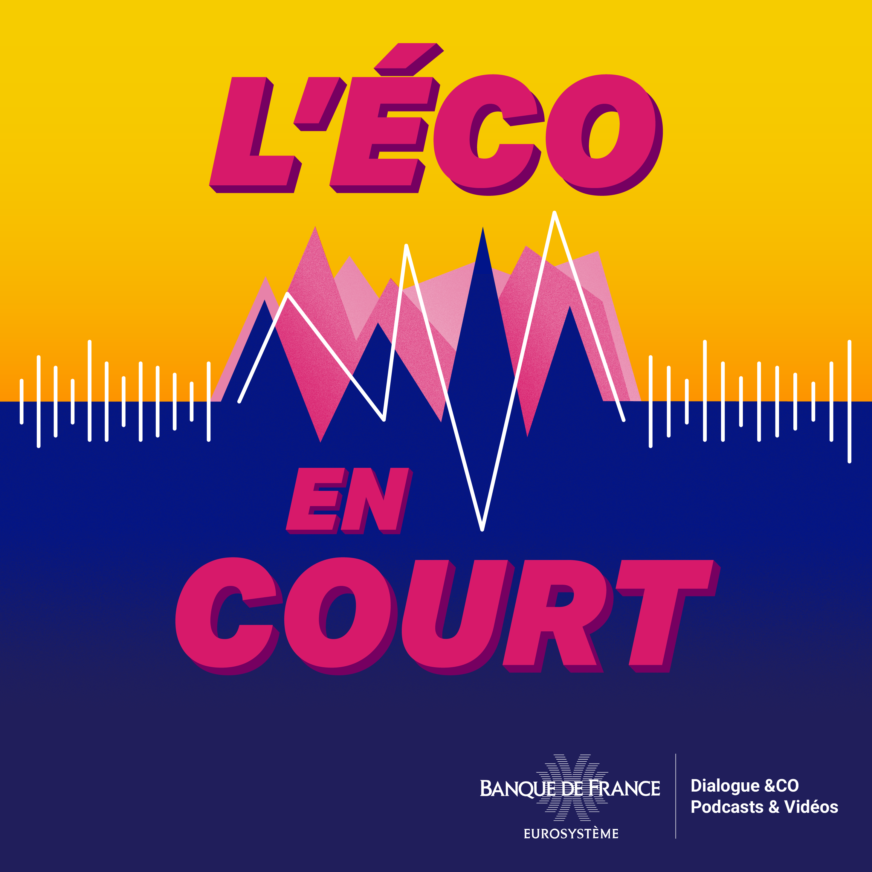 Vignette Podcast EC